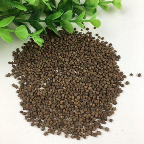 25 balsam flower seed 25 per pac.jpg