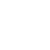 icons8 video 100.png