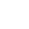 icons8 wifi 100.png