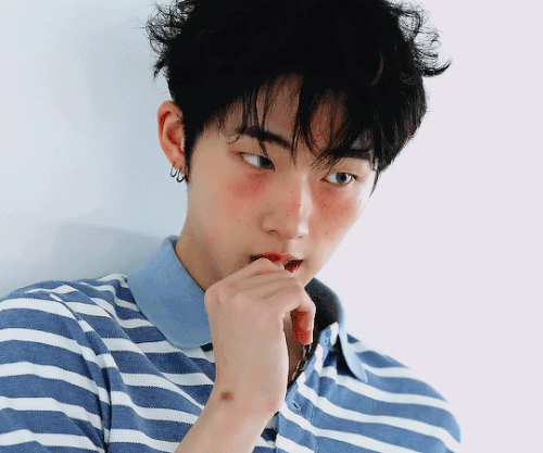 tumblr 0871b883a450319af89a9ffd770e3670 c2f61c29 540.gif