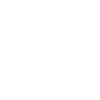 icons8 windows client 100.png