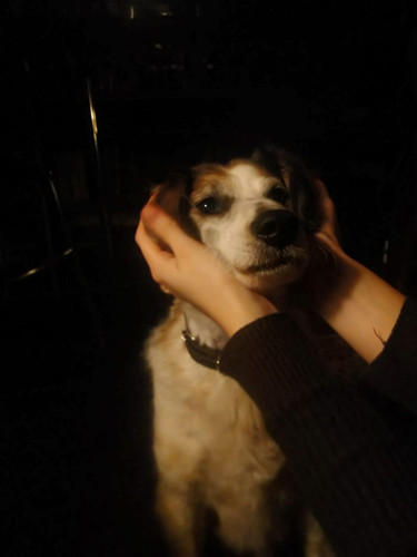 IMG 20211008 WA0003