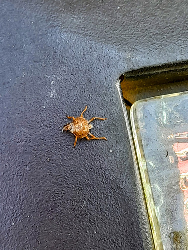 20220803 092645~2.jpg