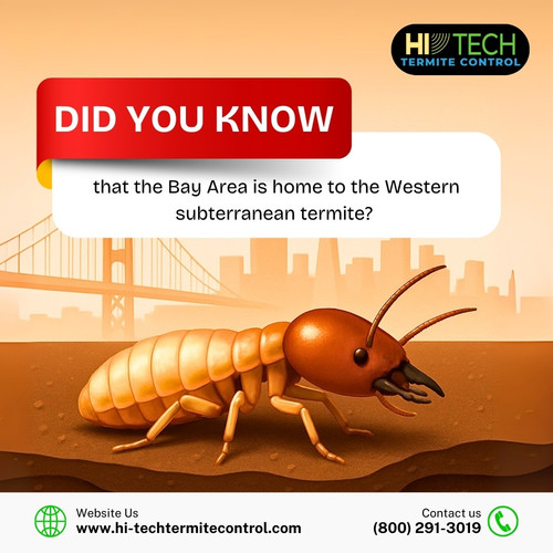 Did you know.jpg