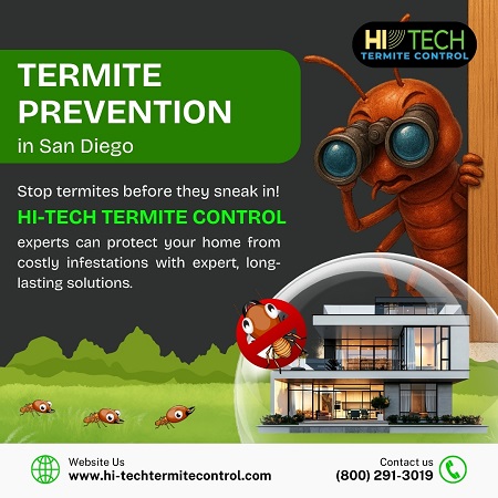 Stop termites before they sneak in.jpg