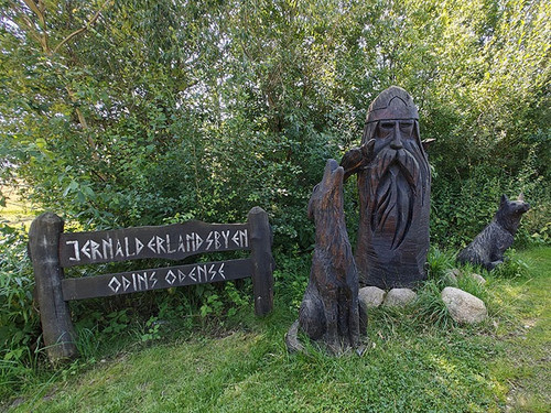 odin1.jpg