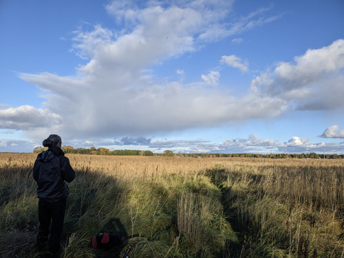 PXL 20251019 161715999.MV