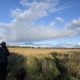 PXL 20251019 161715999.MV