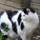 IMG 0224