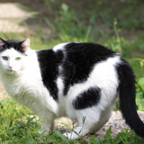 IMG 0225