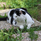 IMG 0227