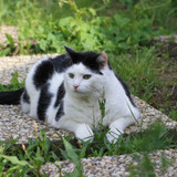 IMG 0228