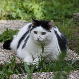 IMG 0234