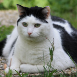 IMG 0232