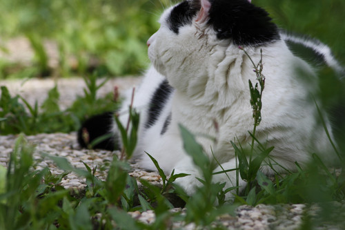 IMG 0238.jpg