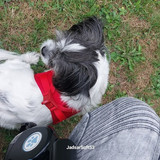 IMG 20250711 WA0012