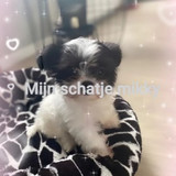 FB VID 8756537671243033941 exported 50733