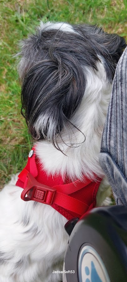 IMG 20250711 WA0010.jpg