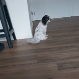 IMG 20250712 WA0012