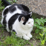 IMG 0246