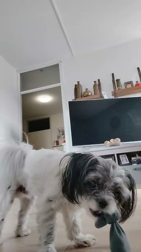 VID 20250713 WA0003.jpg