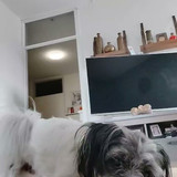 VID 20250713 WA0003