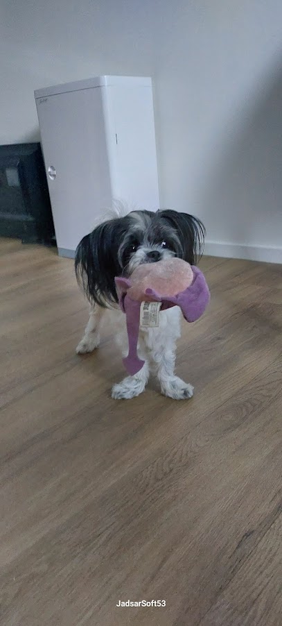 IMG 20250718 WA0005.jpg