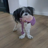 IMG 20250718 WA0005