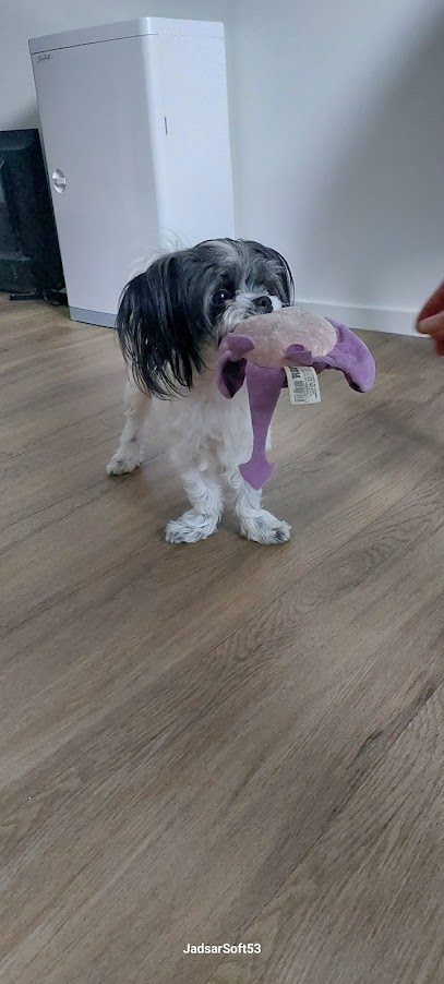 IMG 20250718 WA0011.jpg