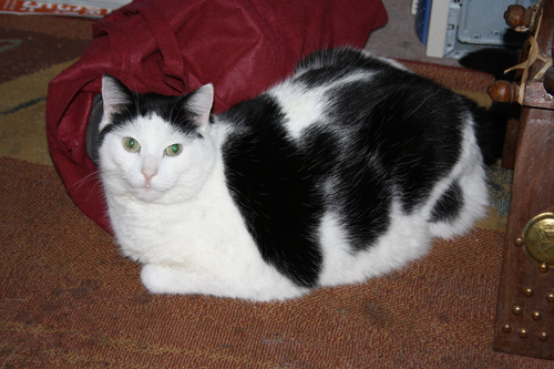 IMG 0022.jpg
