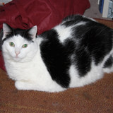 IMG 0022