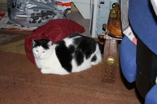 IMG 0021.jpg