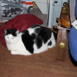 IMG 0021