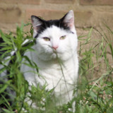 IMG 0213