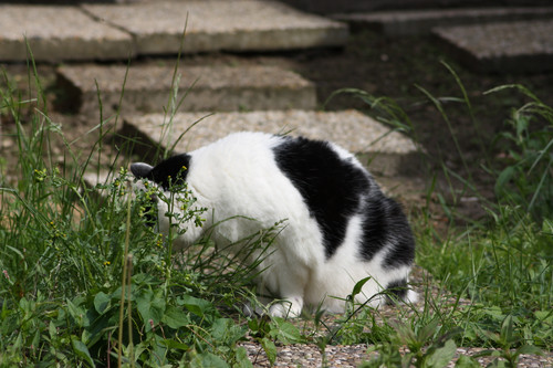 IMG 0205.jpg
