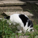 IMG 0205