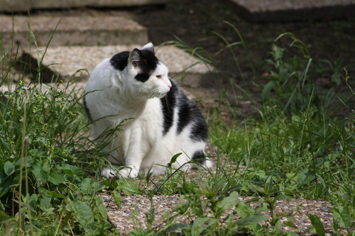 IMG 0206.jpg