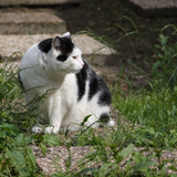 IMG 0206
