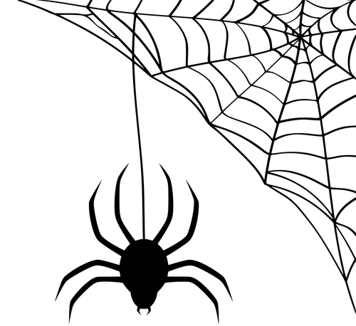 паутина 2.png