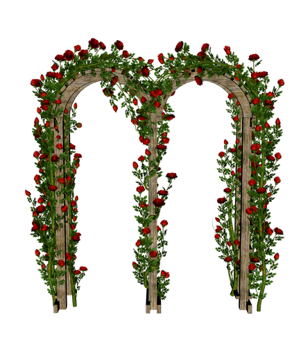 G 04.png
