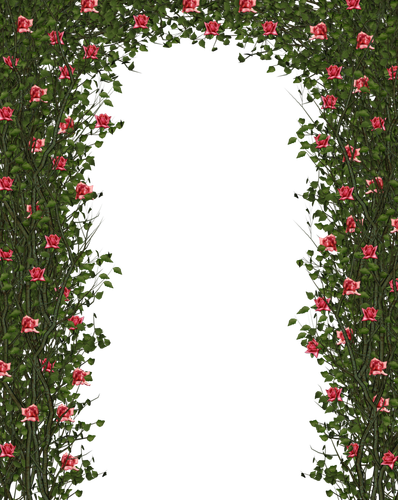 РАСТИТЕЛЬНЫЕ АРКИ (3).png