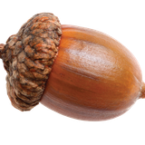 pngwing.com (16)