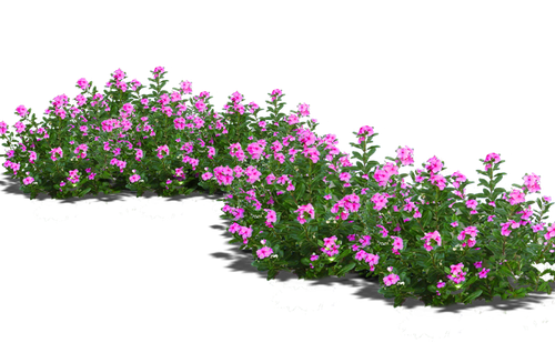 pngwing.com (14).png