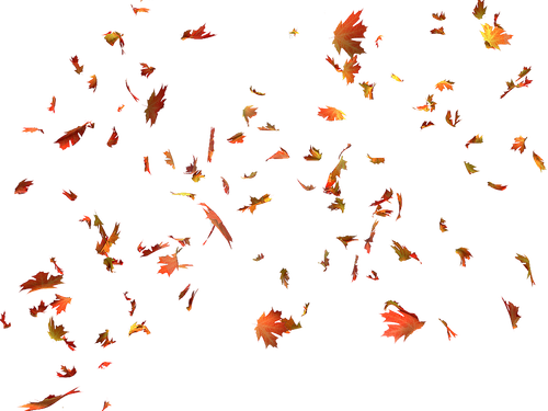 pngwing.com (18).png