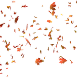 pngwing.com (18)