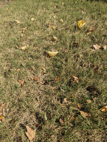 PXL 20251019 194149749