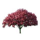 kisspng tree autumn computer file purple leaf tree 5aa11c6fb02de9.3612273415205080157216