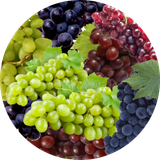 Виноград для бочки3