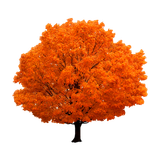 5a2ece34249339.3066558115130168841498