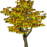 5a1c623d281ef1.7219014515118095971643